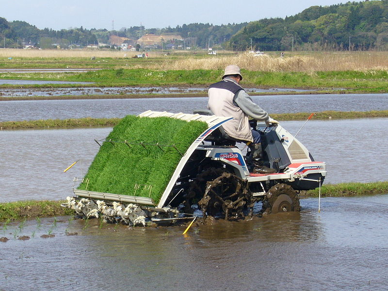 800px-Rice-planting-machine,katori-city,japan