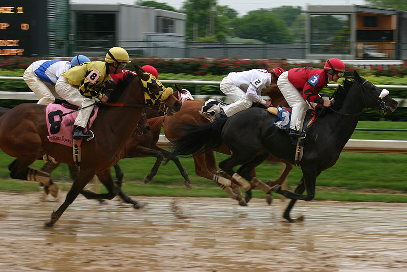 800px-Horse_race,_Churchill_Downs_2008-04-18