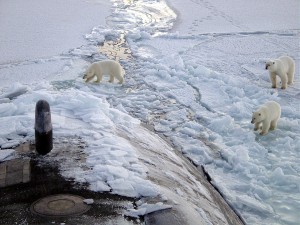 Polar Bears and Submarine