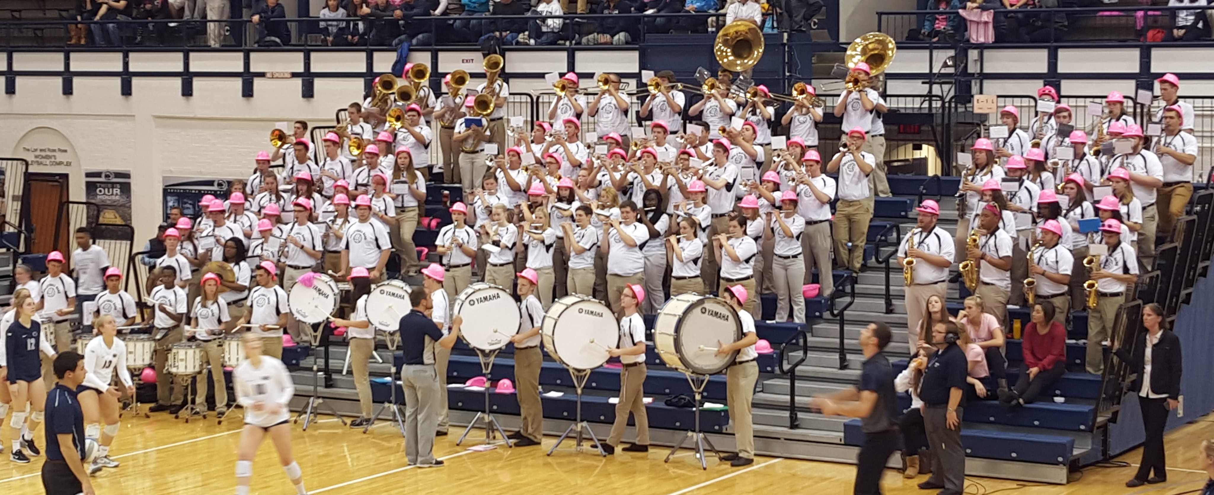 The Volleyball Pep Band was out in force for Dig Pink Night