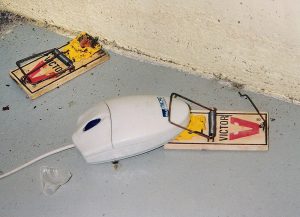 computer_mouse_trap