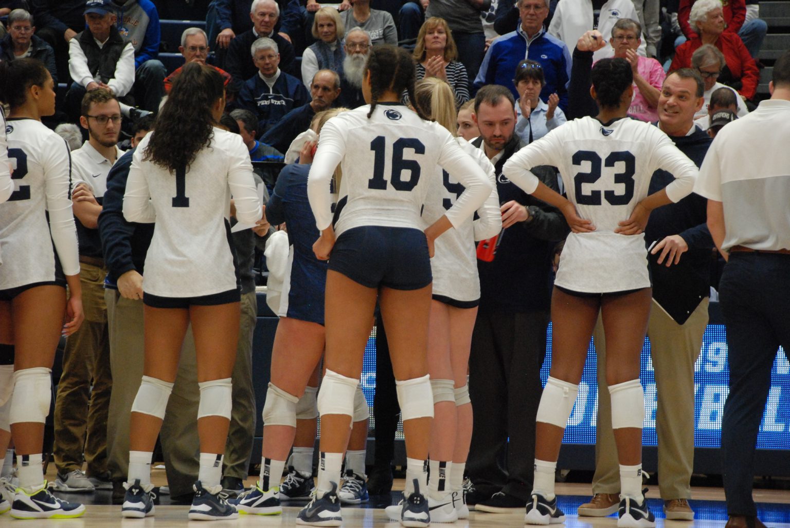 Nia Reed To Continue Professional Volleyball Career In France