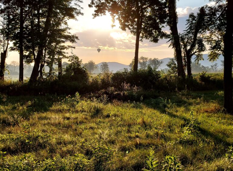 Flying High in Happy Valley