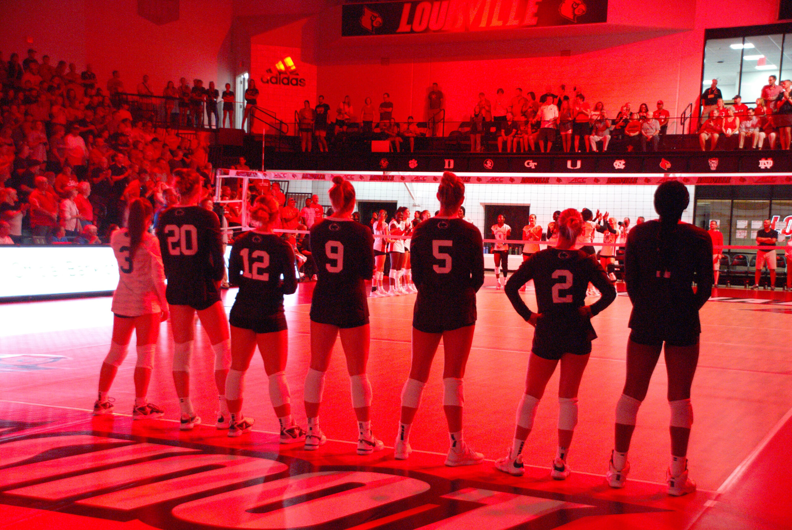 UofL Men's Volleyball Club takes home national championship