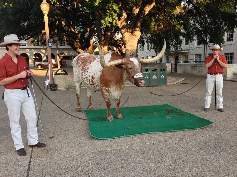 Bevo_2012-10-05