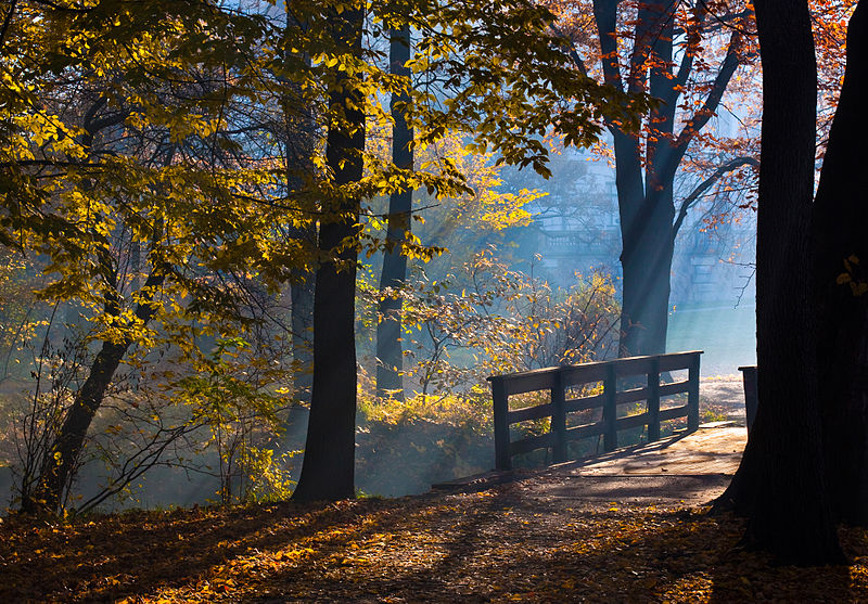 Fall Season 2012 Picture of Year Finalist Wikimedia