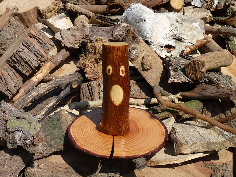 Surprise - Wood Face